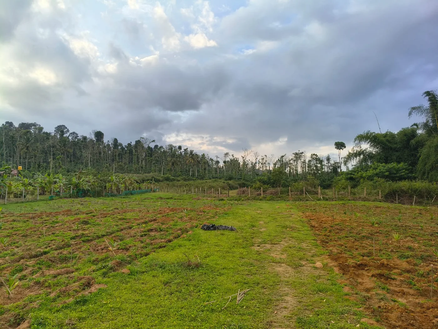 1 Acre 22 Guntas River-Touch Property for Sale in Sakleshpur – Just 3 KM from Town