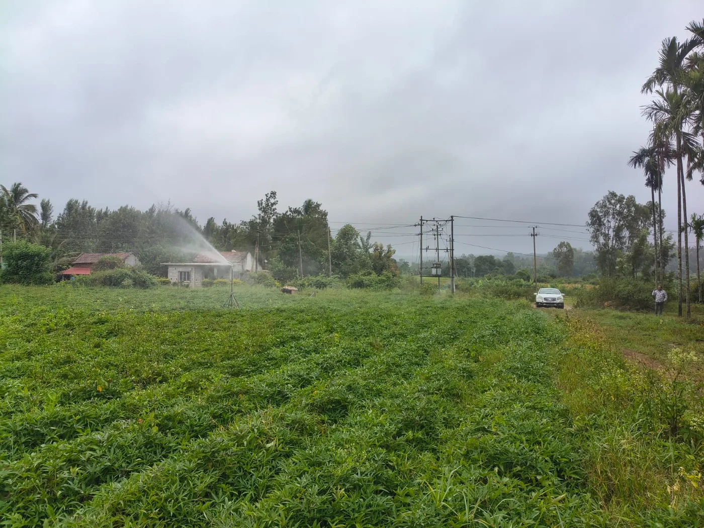 5 Acres Scenic Agricultural Land for Sale near Mallipatna, Arkalgud | Hassan–Coorg Border