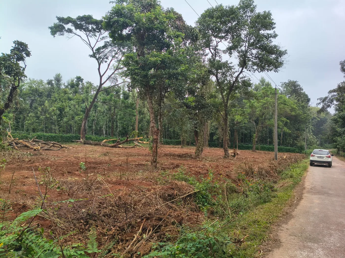 1 Acre Agricultural Land for Sale Near Kodlipet, North Coorg | Somwarpet Taluk