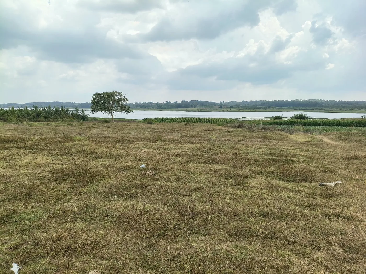 1 Acre Backwater View Agricultural Land for Sale Between Belur & Chikkamagaluru