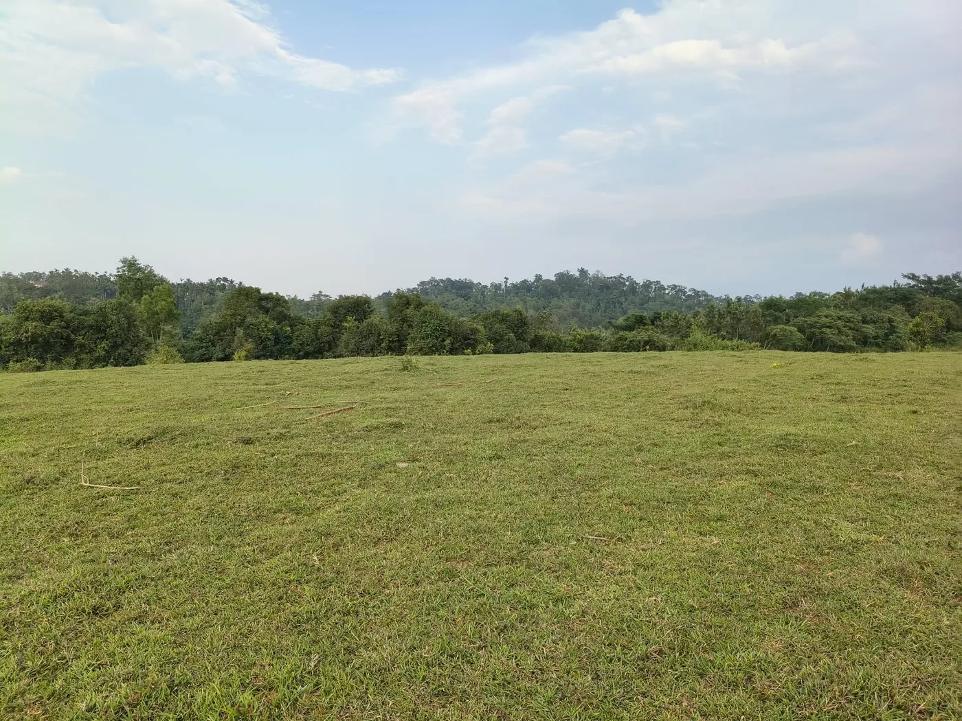 3 Acres Scenic Hilltop Land for Sale in Sakleshpur – Flat Terrain & Good Road Access
